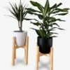 Plantenstandaard | Set Van 2 | Diameter Tot 24 Cm | Plantenkruk | Bloempotten Voor Binnen | Plantentafeltje Voor Binnen | Bloempot Standaard | Plantenstandaard Binnen | Hout | Licht Bruin