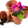 Garden Mania - 12 Mini Terracotta Keramische Klei Bloempotten Met Afvoergat, 8cm