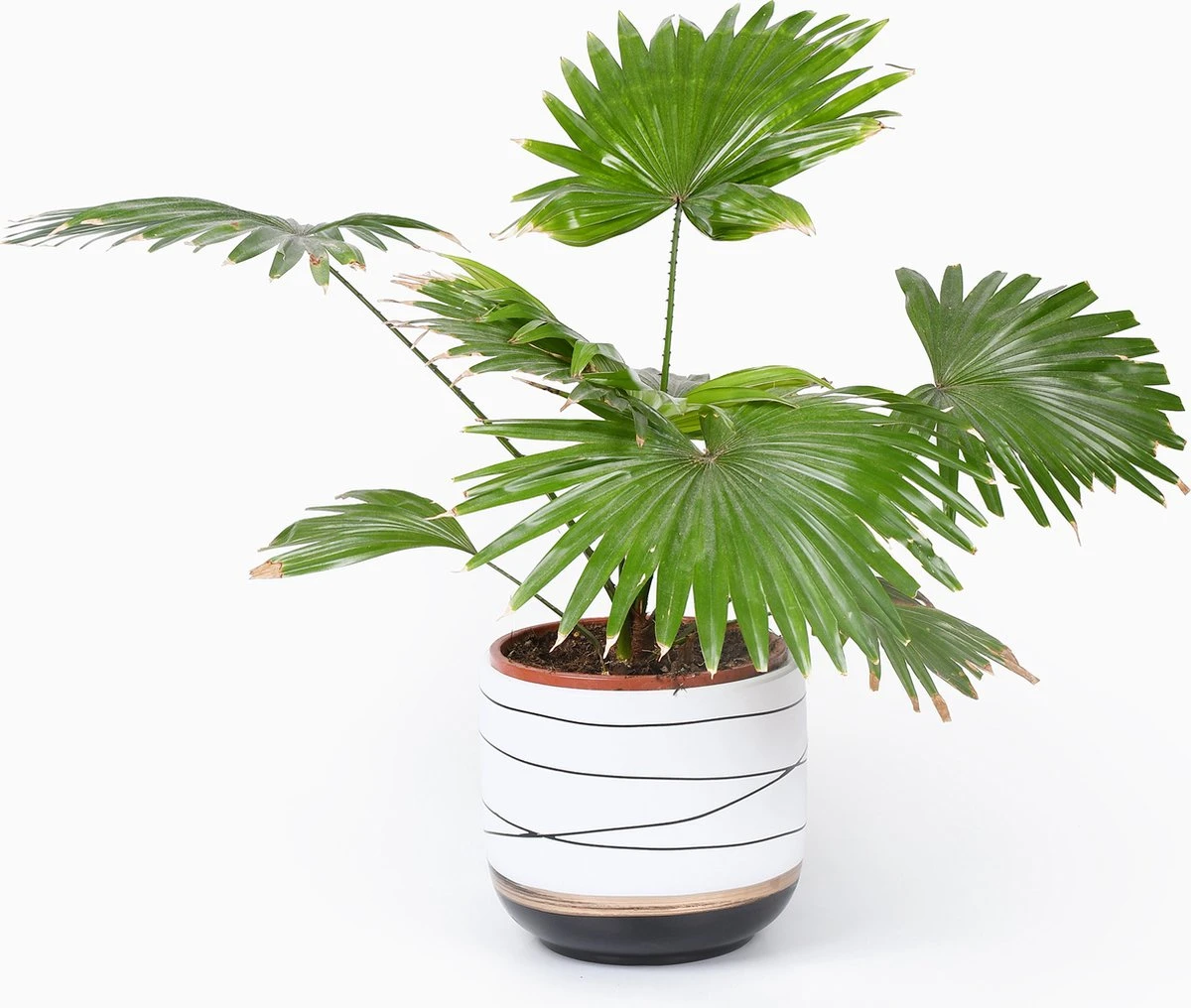 Bloempotten Binnen - Keramiek - Gouden Rand - Bloempot Buiten - Afvoergat 24 - Small Set Van 3 - 15 Cm - Afbeelding 4