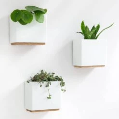 KAZAI. Wandvazen -Alma | Moderne Hangende Bloempotten Voor Aan De Muur | 3-delige Bloempot Set Van Hoogwaardig Hars Voor Kamerplanten, Kunstplanten, Bloemen Enz. | Wit