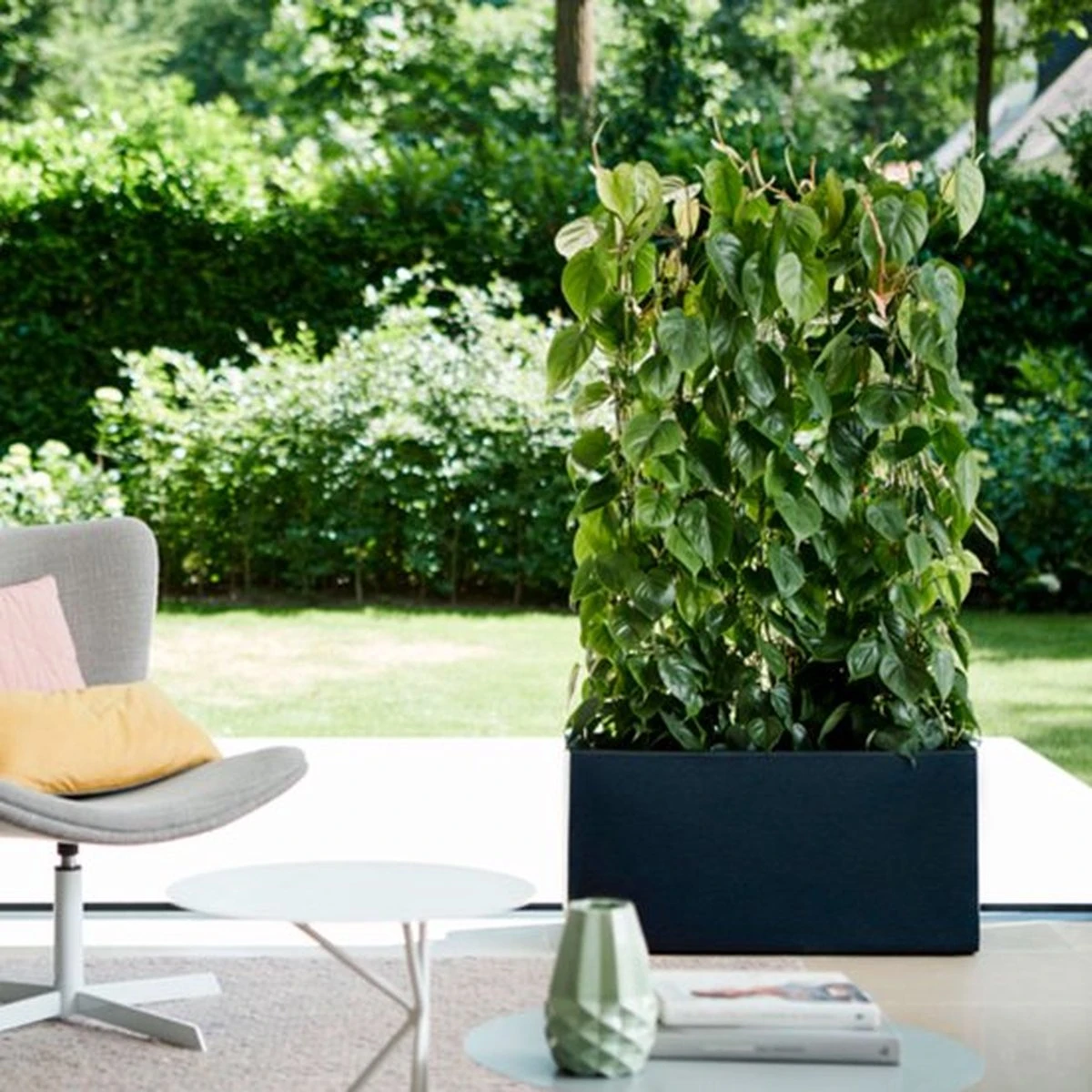 Elho Vivo Matt Finish Lang Wielen 90 - Grote Staande Plantenbak Voor Binnen & Buiten - Gemaakt Van Gereycled Plastic - L 39 X W 88 X H 41 Cm - Zwart - Afbeelding 6