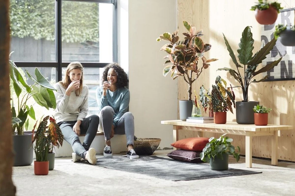 Elho B.for Soft Rond 35 - Bloempot Voor Binnen - Ø 34.5 X H 32.3 Cm - Antraciet - Afbeelding 6