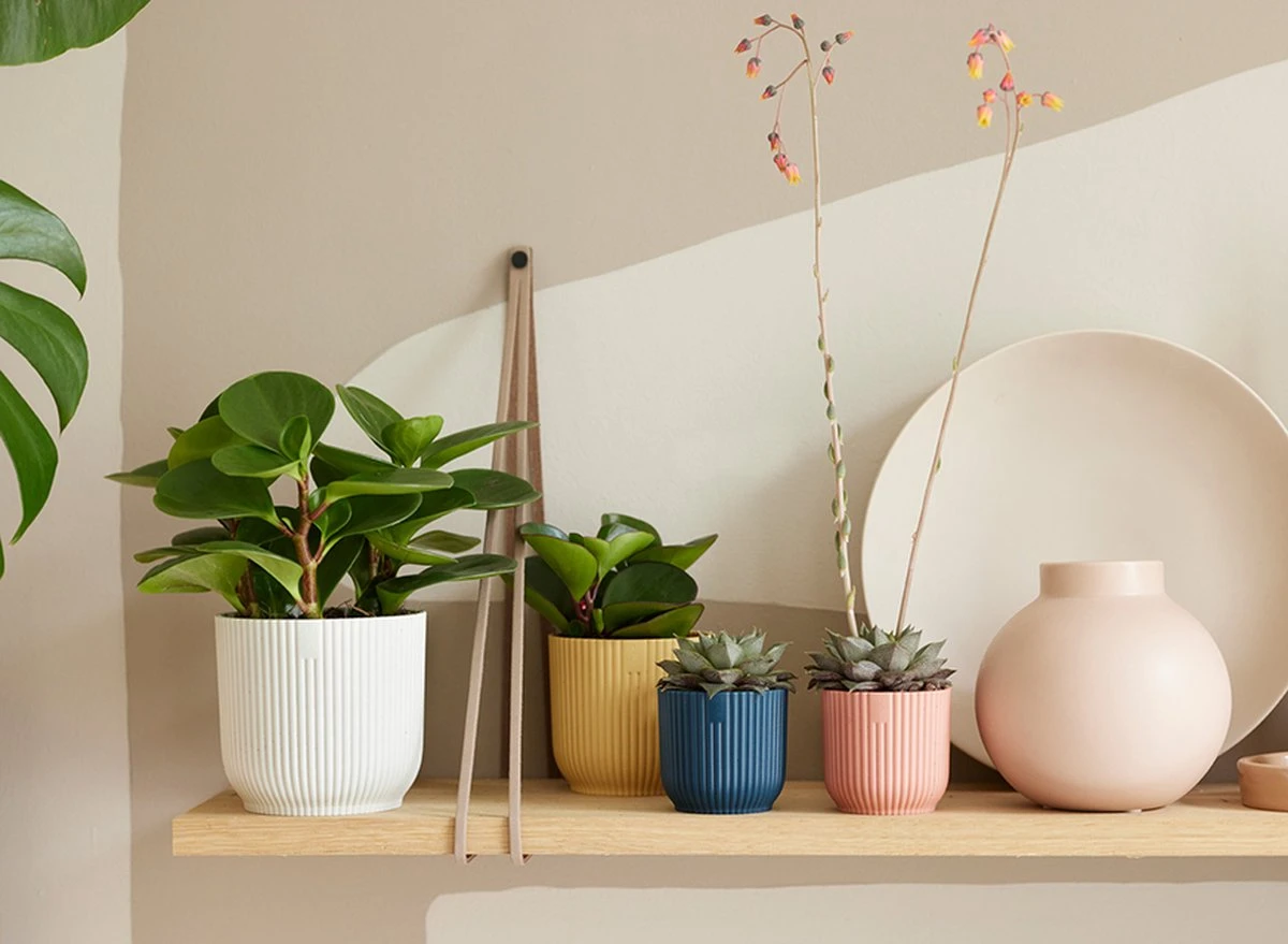 Elho Vibes Fold Rond Wielen 35 - Bloempot Voor Binnen - Ø 34.9 X H 32.4 Cm - Zijdewit - Afbeelding 5