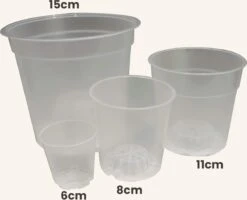 Sybotanica Aroid / Orchidee Plantenpot - 8cm - Doorzichtig - 5x