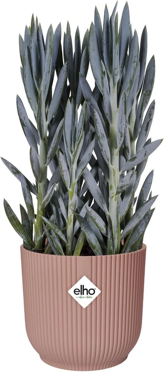 Elho Vibes Fold Rond Wielen 35 - Bloempot Voor Binnen - Ø 34.9 X H 32.4 Cm - Delicaat Roze - Afbeelding 5