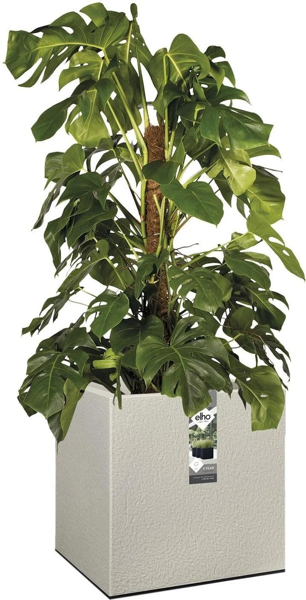 Elho Vivo Structure Finish Vierkant 40 - Plantenbak Voor Binnen & Buiten - Ø 39 X H 41 - Grijs/Warm Grijs - Afbeelding 6