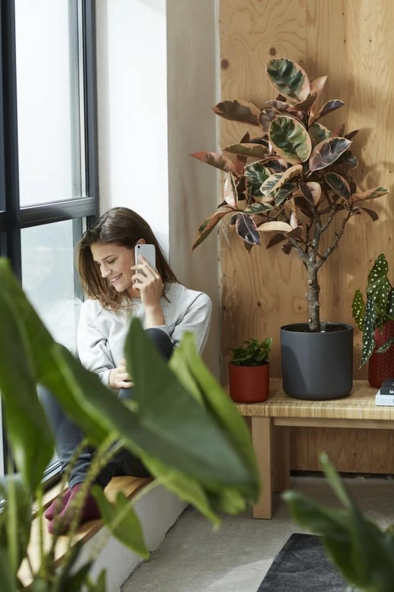 Elho B.for Soft Rond 35 - Bloempot Voor Binnen - Ø 34.5 X H 32.3 Cm - Antraciet - Afbeelding 7