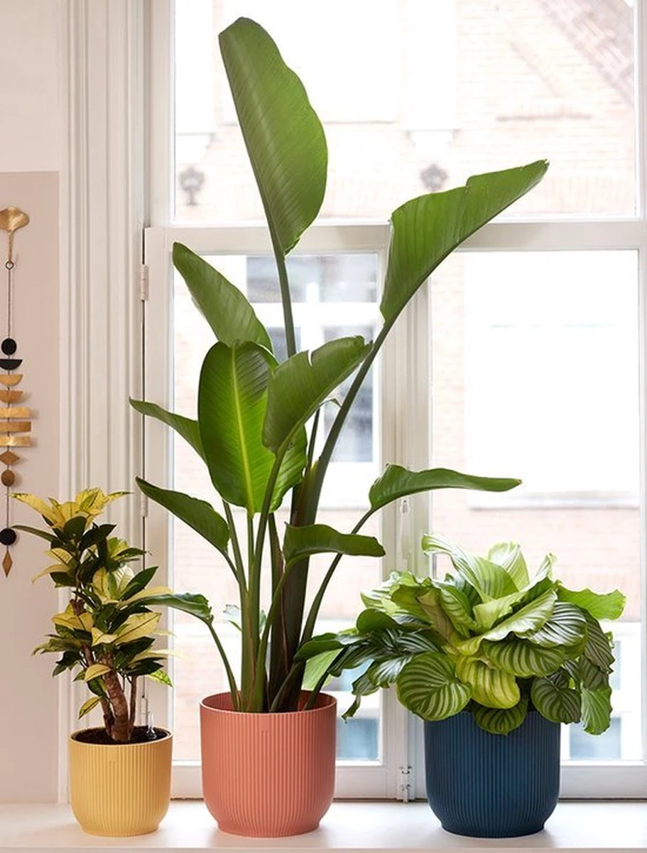 Elho Vibes Fold Rond 22 - Bloempot Voor Binnen - Ø 22.0 X H 20.2 Cm - Diepblauw - Afbeelding 4